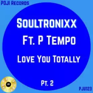 SOULTRONIXX - Loving You Totally (Urban Musique Remix)